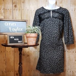 NWT + Ann Taylor + Black and White polka dot dress